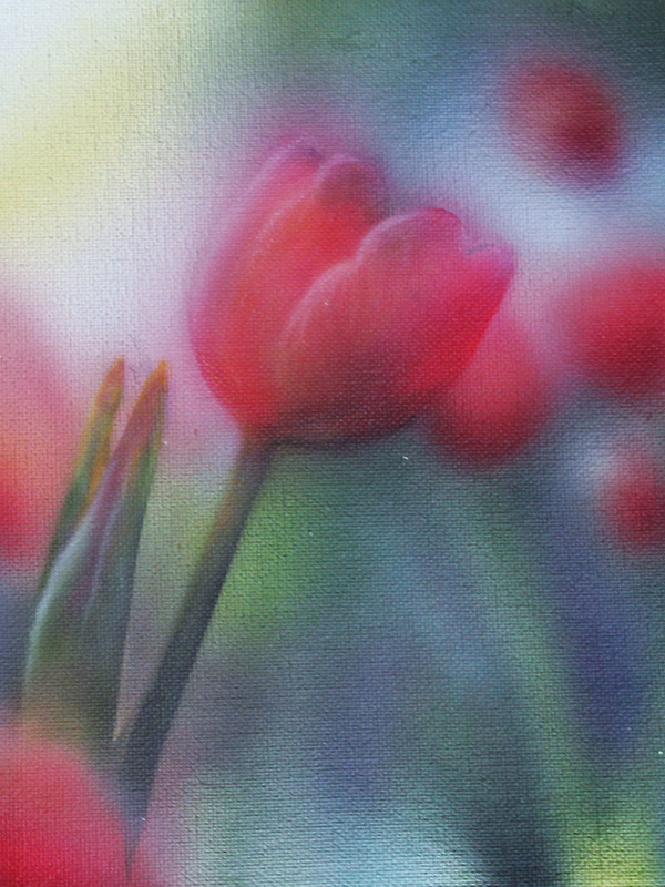 Fruehling Airbrush Sandra Wild