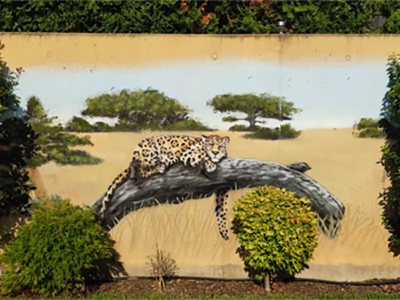 Gepard
