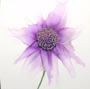 Inkflower